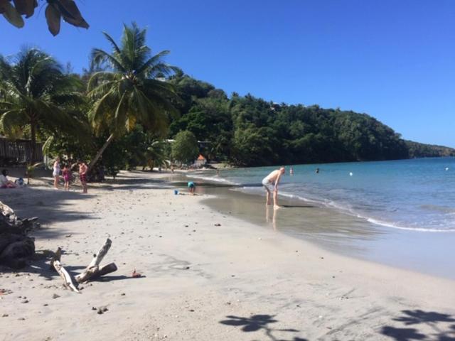 레 장세-다르레 Bay View Martinique 아파트 외부 사진